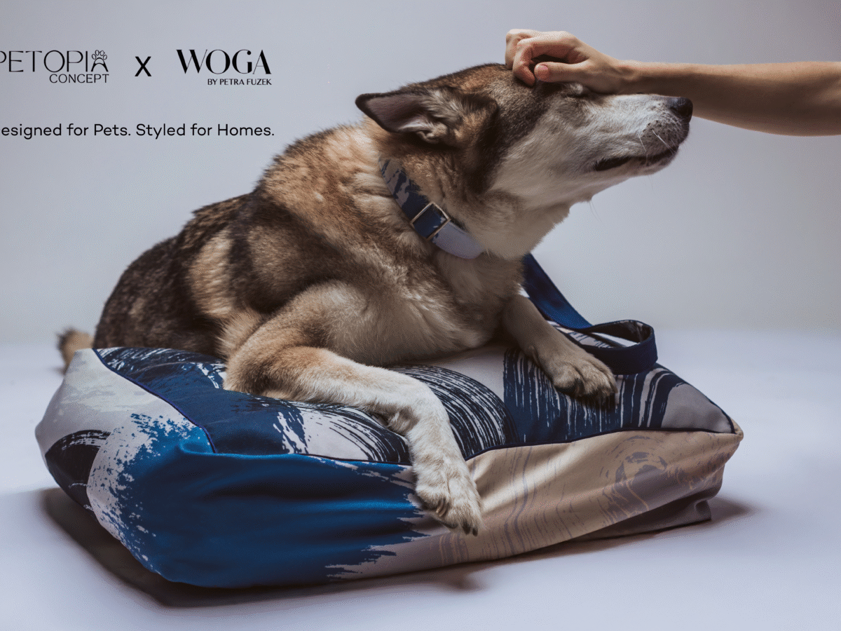 PETOPIA CONCEPT X WOGA